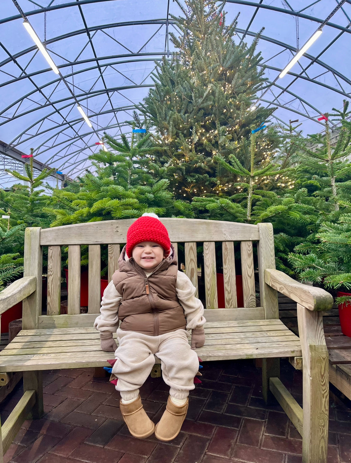 Christmas Toddler Hat